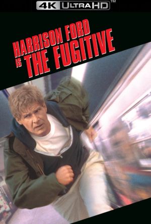 The Fugitive's poster