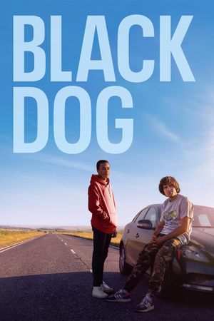 Black Dog's poster