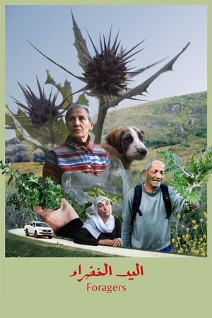 Foragers's poster