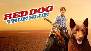 Red Dog: True Blue's poster