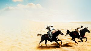 The Black Stallion Returns's poster