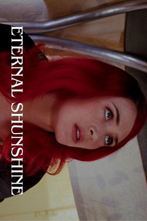 Eternal Sunshine of the Spotless Mind's poster