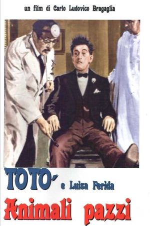 Animali pazzi's poster