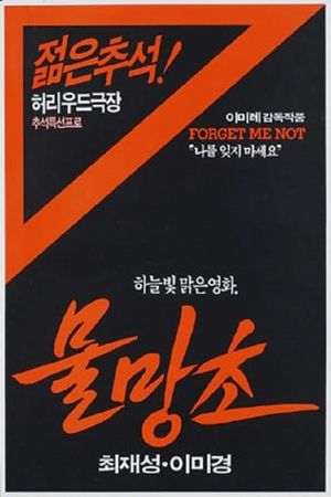 Mulmangcho's poster