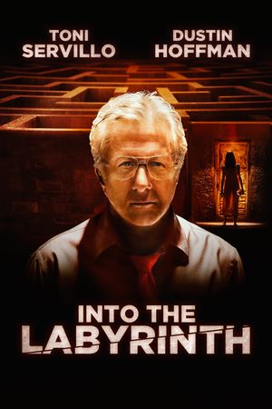 Into the Labyrinth's poster