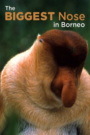 The Biggest Nose in Borneo's poster