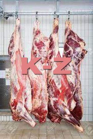 K-Z's poster