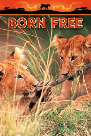 Born Free's poster