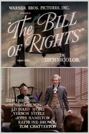 The Bill of Rights's poster