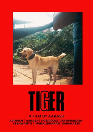 TIGER's poster