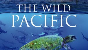 The Wild Pacific's poster