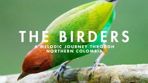 The Birders's poster