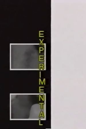 Experimental's poster
