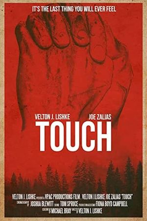 Touch's poster image