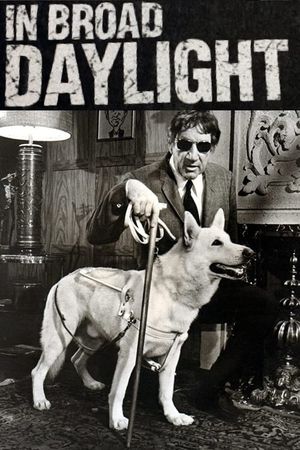 In Broad Daylight's poster