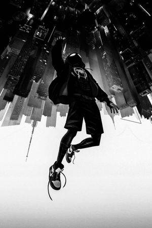 Spider-Man: Into the Spider-Verse's poster