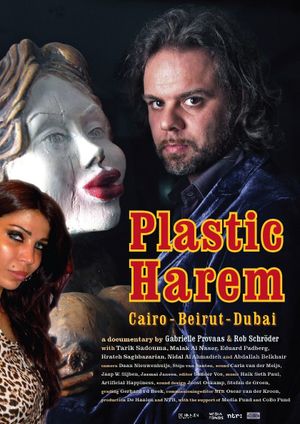 Plastic Harem's poster