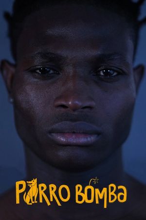 Perro Bomba's poster