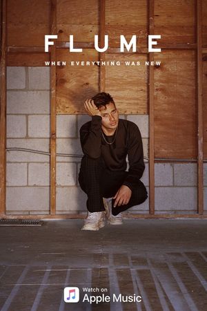 Flume: When Everything Was New's poster