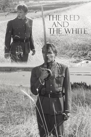 The Red and the White's poster image