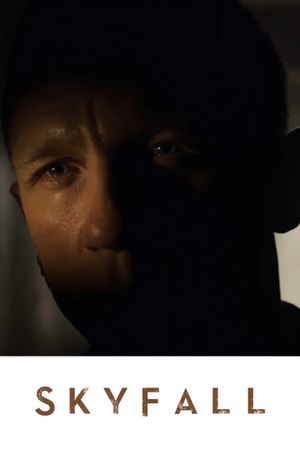 Skyfall's poster