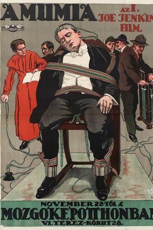 Das Geheimnis der Mumie's poster