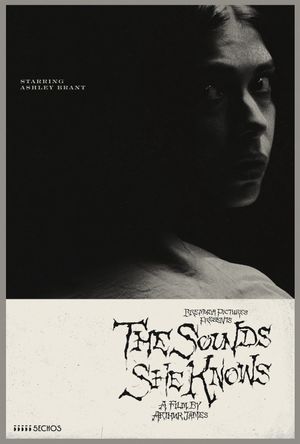 The Sounds She Knows's poster