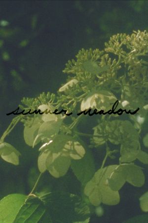 Summer Meadow's poster