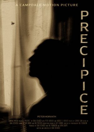 Precipice's poster