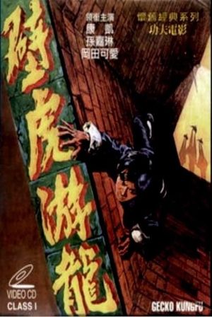 Gecko Kung Fu's poster