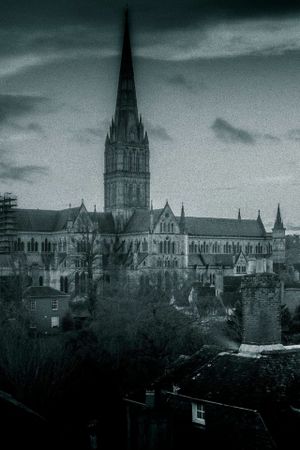 Secrets of the Salisbury Poisonings's poster