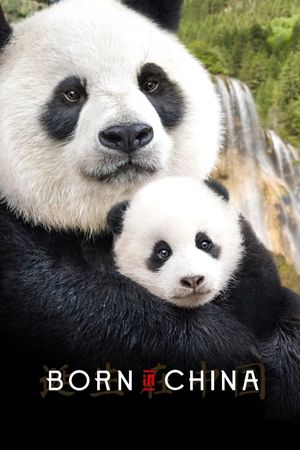 Born in China's poster