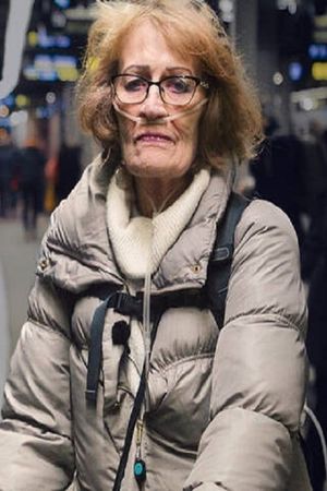 Det Sköra Livet's poster