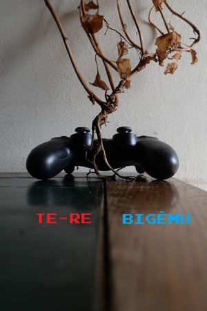 Te-Re: Bigēmu's poster