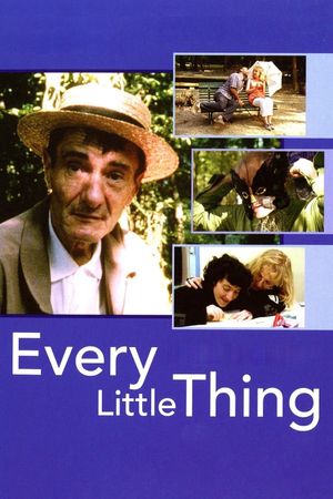 Every Little Thing's poster