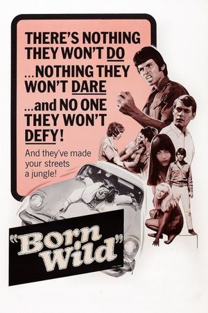 The Young Animals's poster