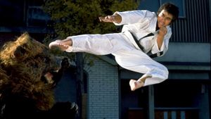 Karate Bear Fighter's poster