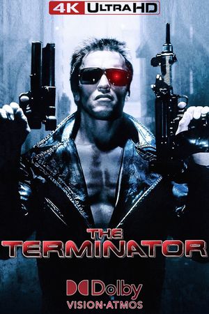 The Terminator's poster