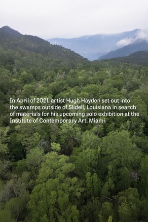 Hugh Hayden: Skeletons in the Swamp's poster image