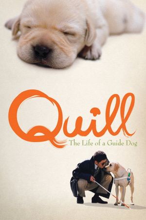 Quill: The Life of a Guide Dog's poster
