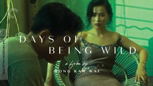 Days of Being Wild's poster