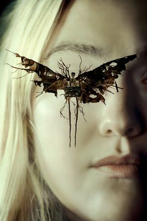 The Watchers's poster