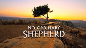 No Ordinary Shepherd's poster