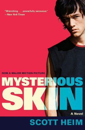Mysterious Skin's poster