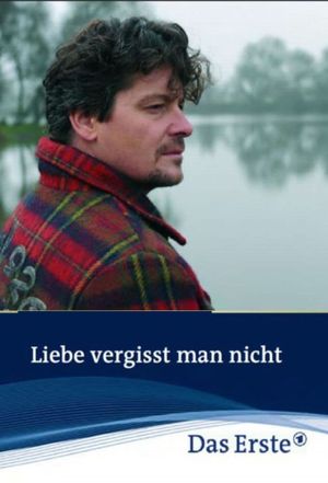 Liebe vergisst man nicht's poster image