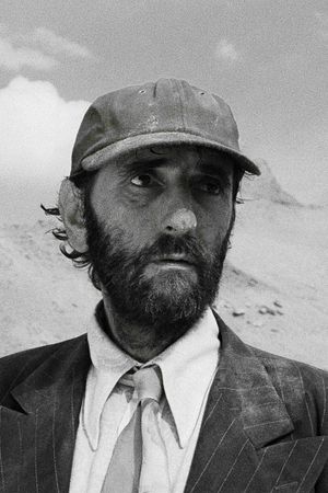 Paris, Texas's poster