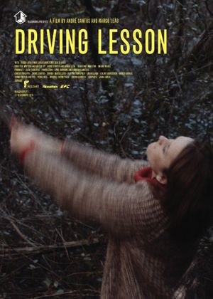 Driving Lesson's poster