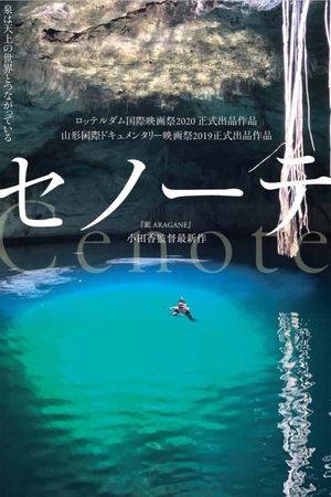 Cenote's poster
