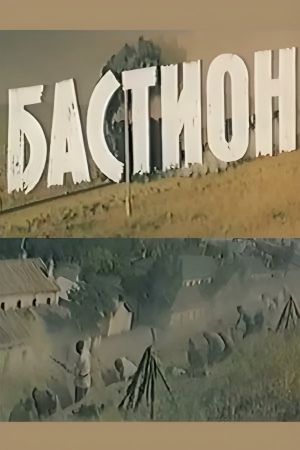 Bastion's poster