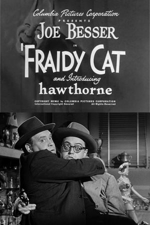 Fraidy Cat's poster image